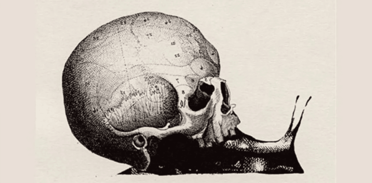 تست شخصیت‌شناسی جذاب: اولین چیزی که می‌بینید، راز شخصیت شما را فاش می‌کند!