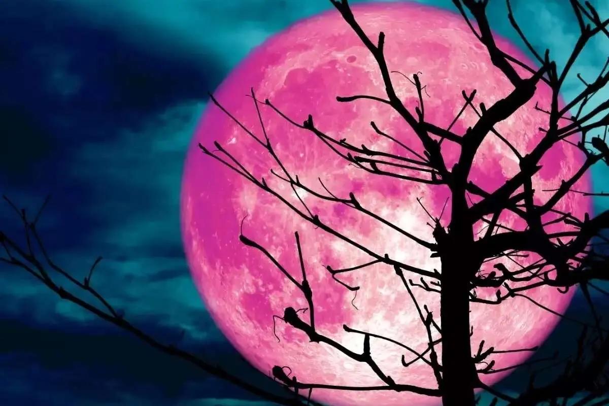 پدیده عجیب و غریب آسمانی؛ ماه در این شب صورتی می‌شود!