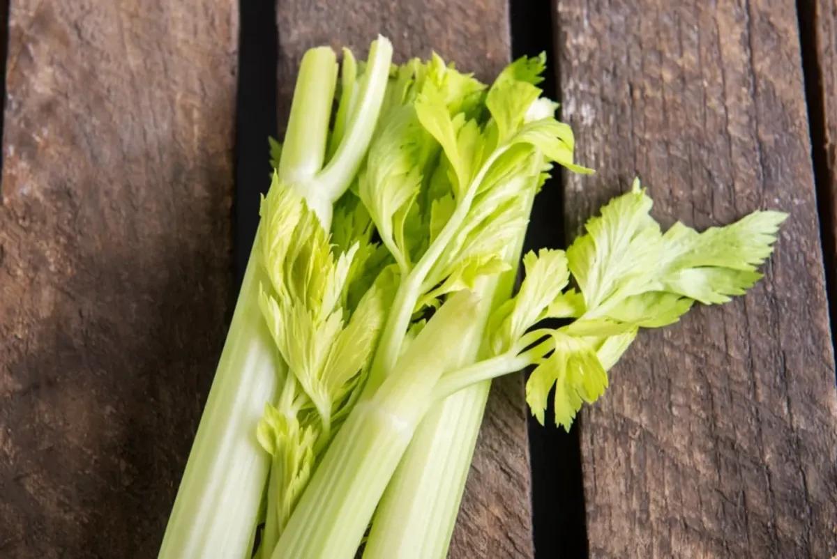 با کاربردهای برگ کرفس در رژیم غذایی آشنا شوید