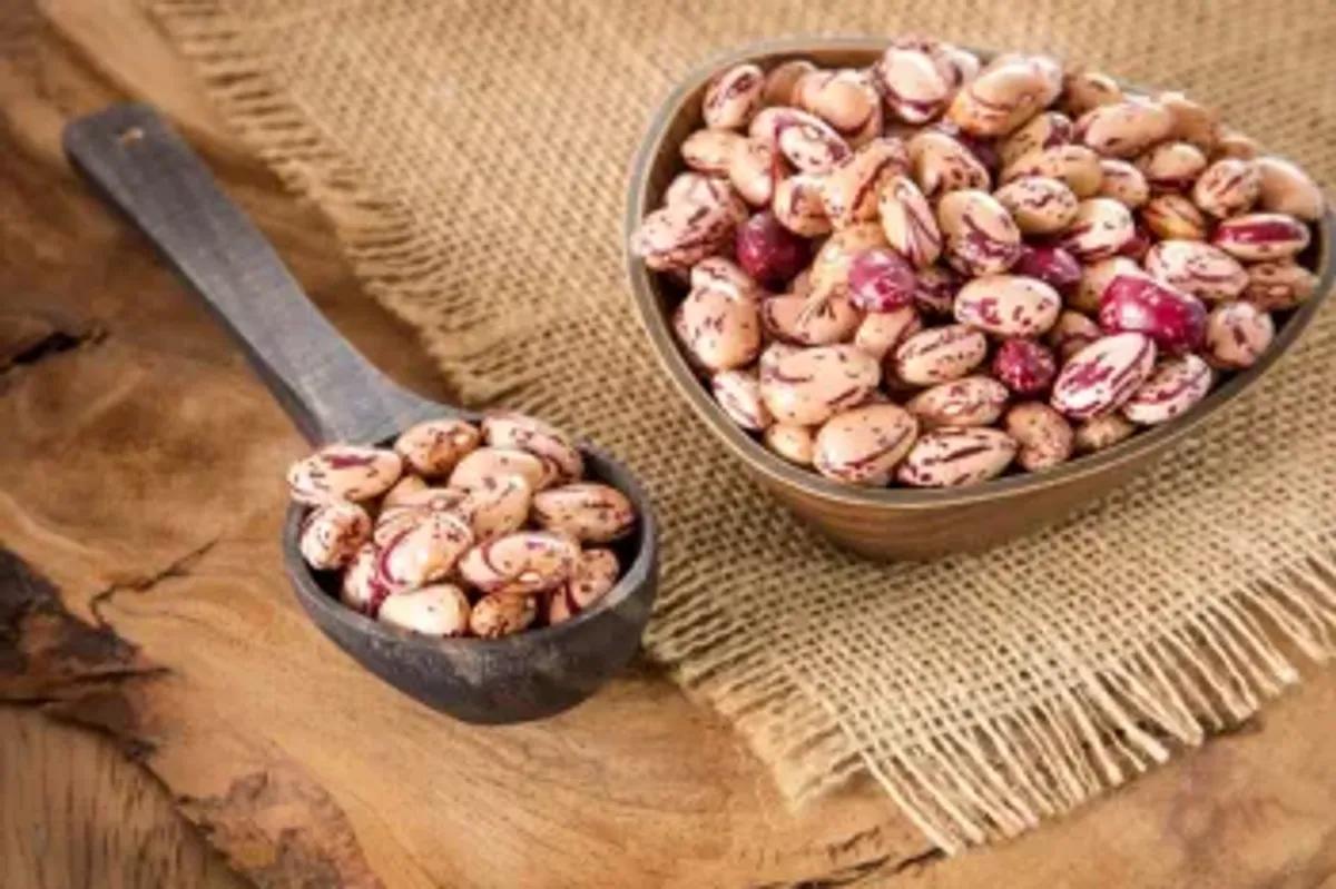 جلوگیری از زخم معده با مصرف لوبیا چیتی !