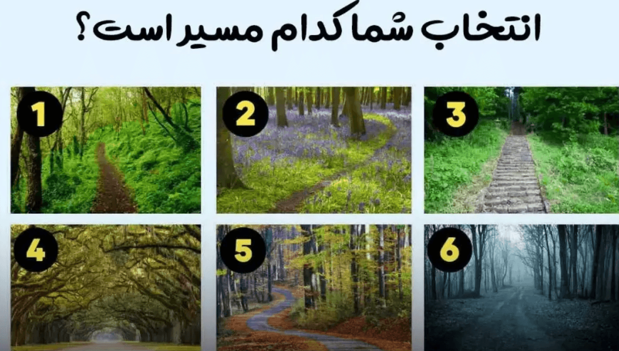 کشف ویژگی‌های شخصیتی خود؛ یک مسیر را انتخاب کنید و شگفت‌زده شوید