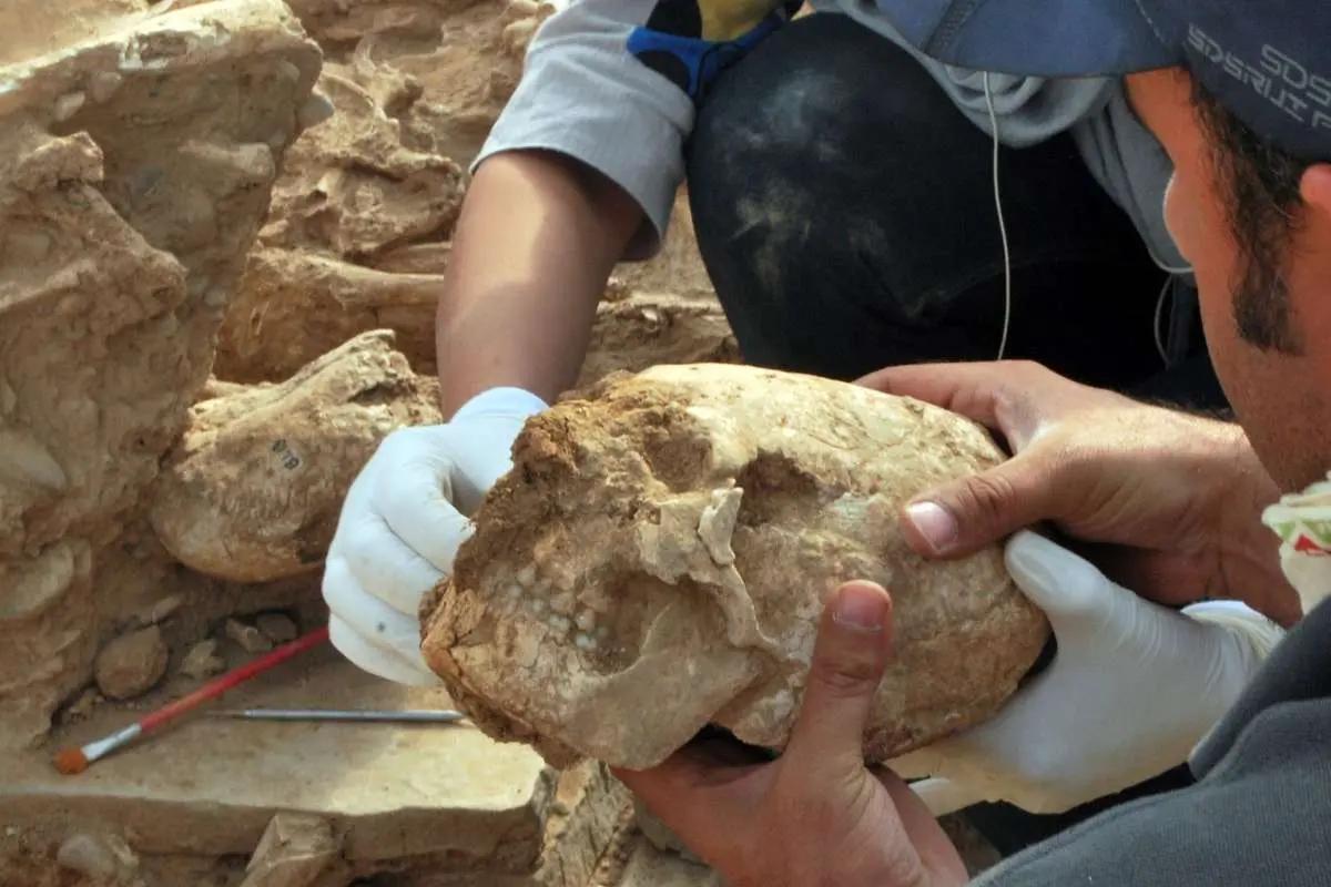 زنی با «جمجمه مخروطی» از زیر خاک بیرون آمد