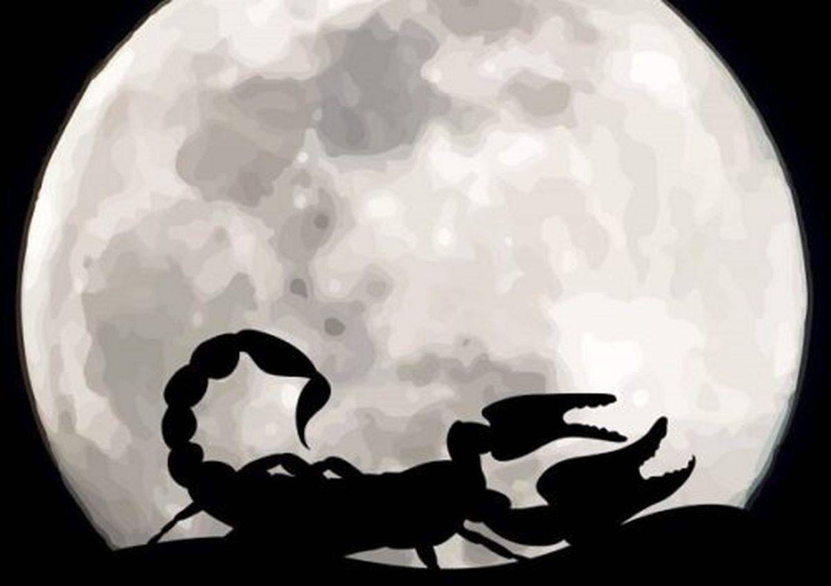 هشدار به علاقه‌مندان به طالع‌بینی | قمر در عقرب و زمان‌های پرهیز اردیبهشت