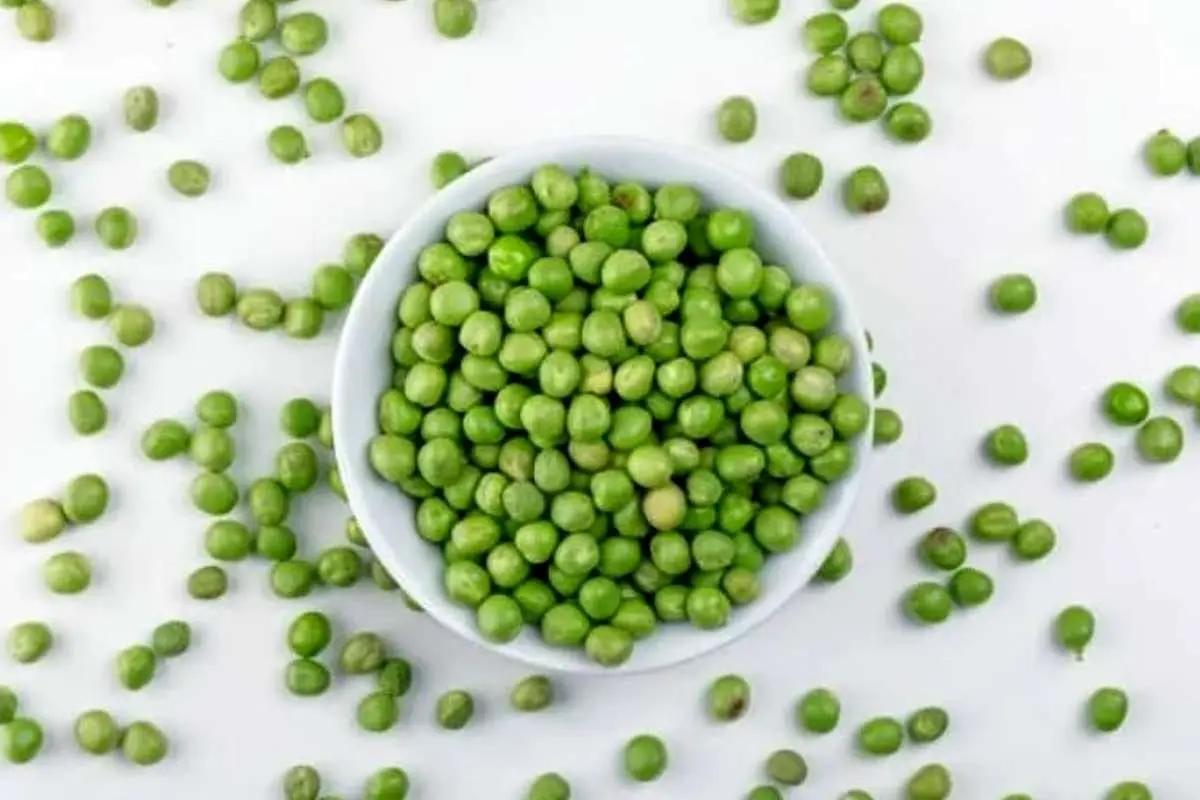 نخود سبز همیشه تازه؛ ۳ روش کاربردی برای نگهداری طولانی‌مدت در خانه