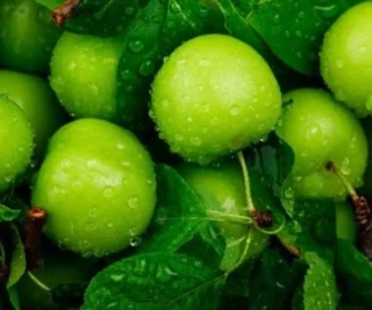 با گوجه سبز یه غذای خاص درست کن! راحت، سریع و پر از طعم ترش و هیجان