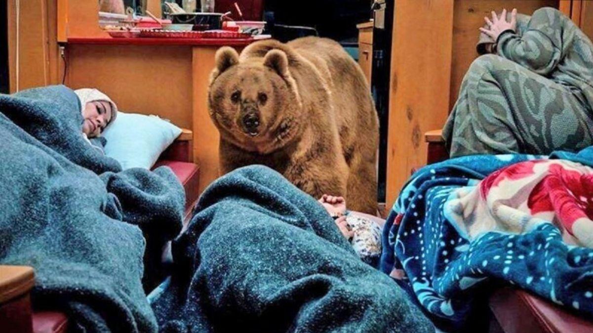 ساخت انیمیشن حمله خرس به کمپر ارسطو سریال پایتخت توسط هوش مصنوعی