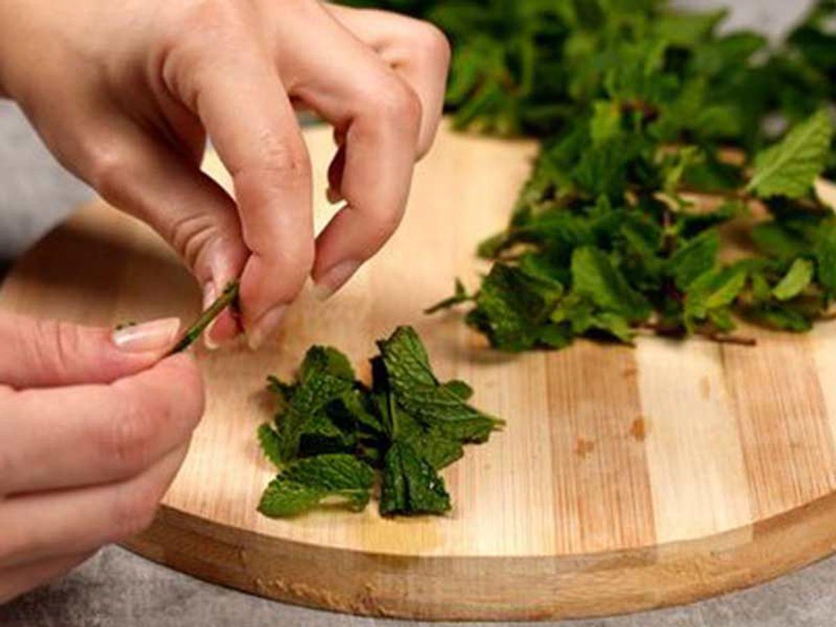 آموزش خشک‌کردن نعنا به روش خانگی؛ با این ترفند نعنا سیاه نمی‌شود!