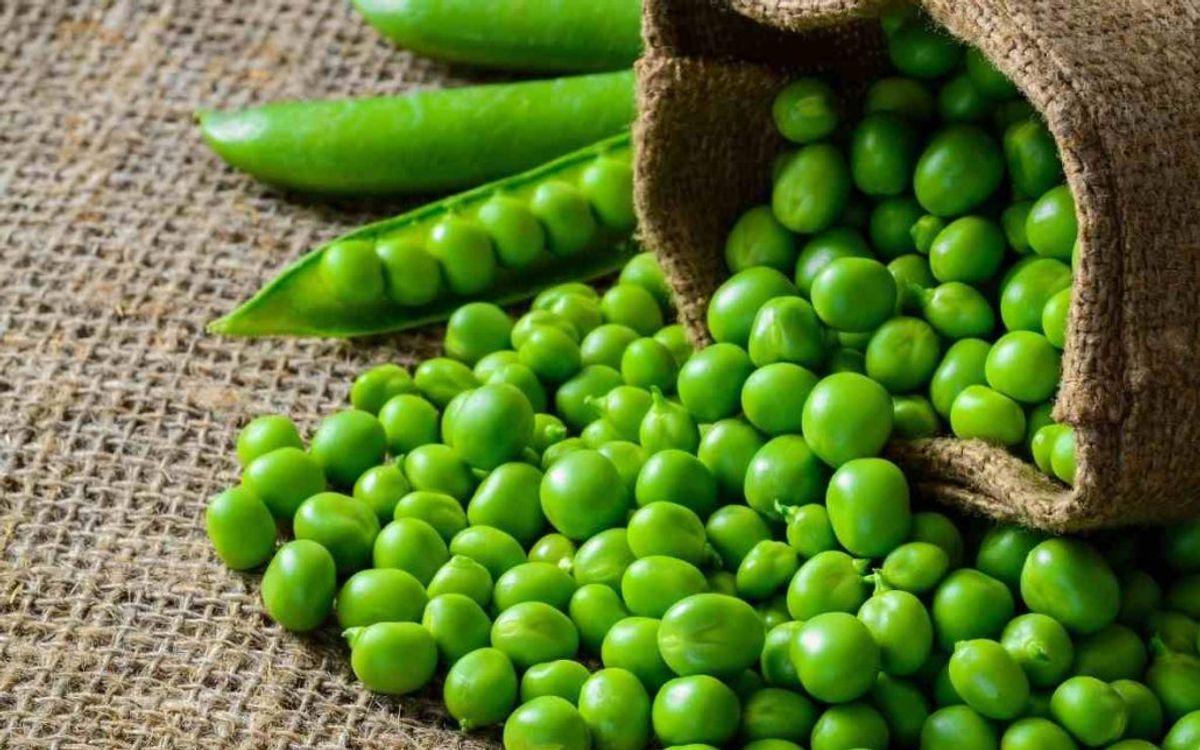 نخودفرنگی در نقش ستاره آشپزخانه؛ غذاهای نونی و برنجی با طعم عالی