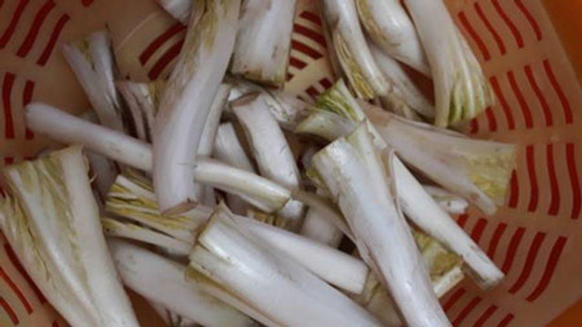 ترفندهای پاک‌کردن کنگر به‌درستی؛ چگونه از تلخ و سیاه شدن آن جلوگیری کنیم؟