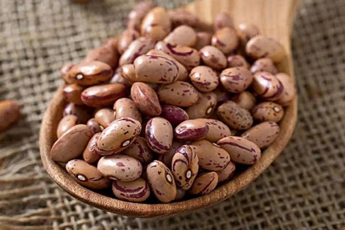 این خوراکی‌ها رکورد گرانی را زدند