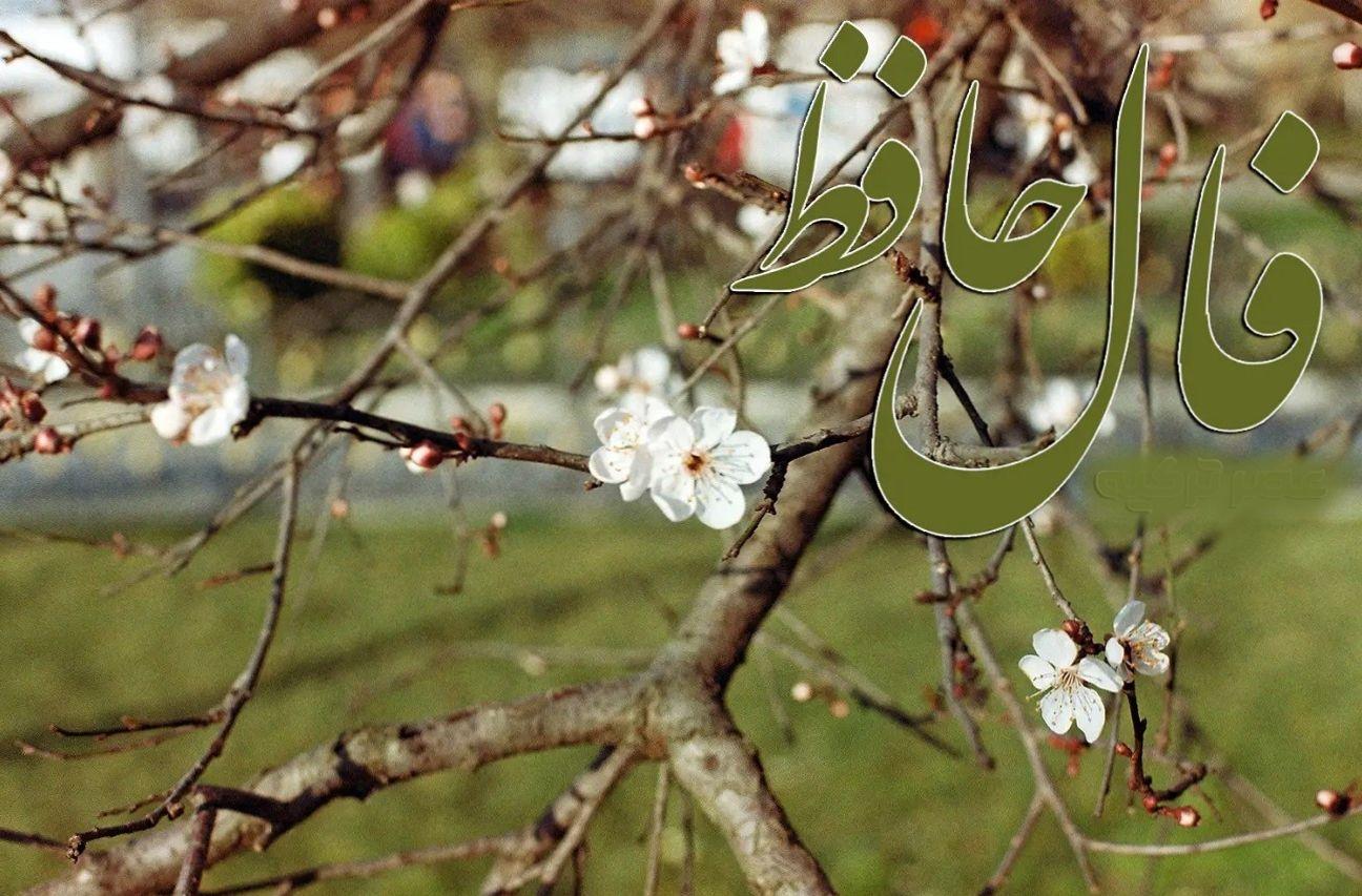 فال حافظ امروز چهارشنبه 31 اردیبهشت 1404 با تفسیر کامل غزل؛ او  نیازی به ابراز عشق تو ندارد