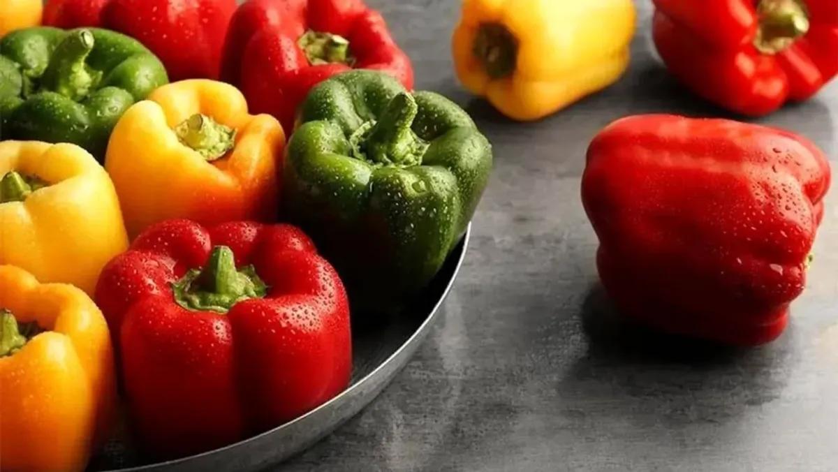 مزایای فلفل دلمه ای برای کودکان و روش های مصرف آن