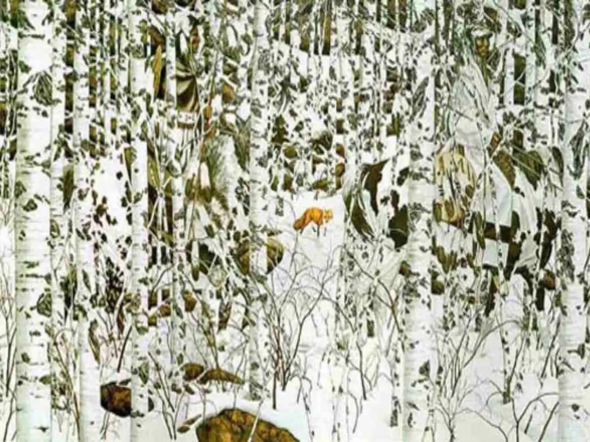 آزمون خطای دید | آیا چشمان تیزبین داری؟ اگر بتوانی این ۲ مسافر را در منظره برفی زیر 5 ثانیه پیدا کنی، دقت دیدت فراتر از حد معمول است!