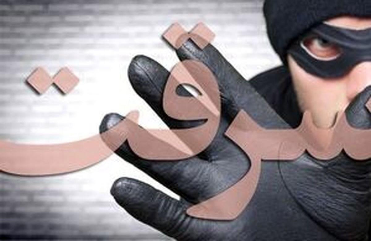 شناسایی باند سرقت گاوصندوق خانهها در پوشش کارگران خدماتی